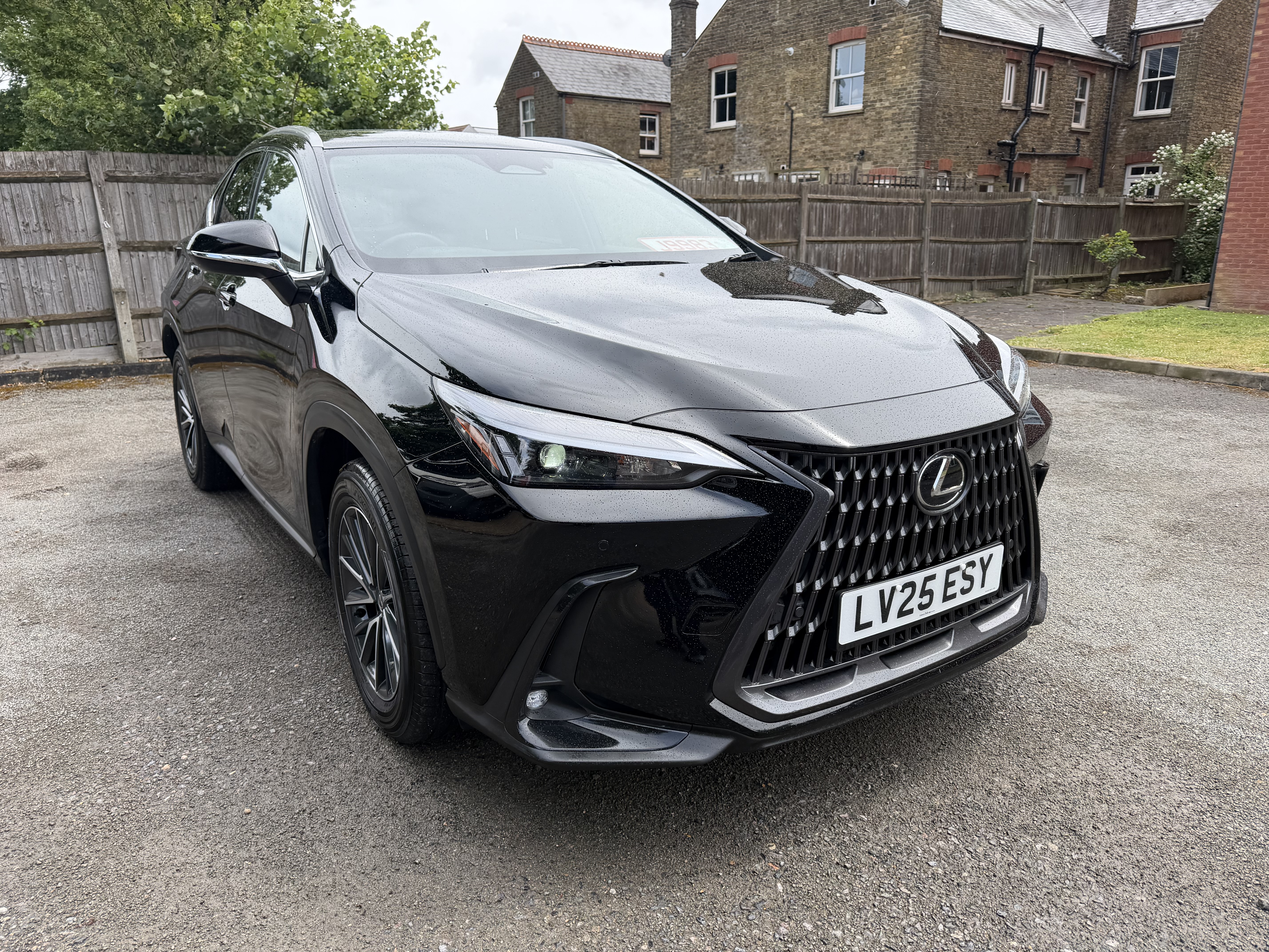 2025 Lexus NX